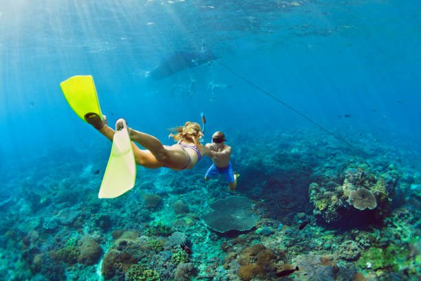Happy family vacation. Young couple in snorkeling mask hold hand, free dive underwater with fishes in coral reef sea pool. Travel lifestyle, watersport adventure, swim activity on summer beach holiday
