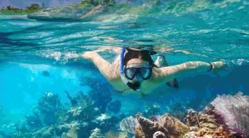 Foto Snorkeling Nusa Penida tour Gamat Bay Nusa Penida Bali